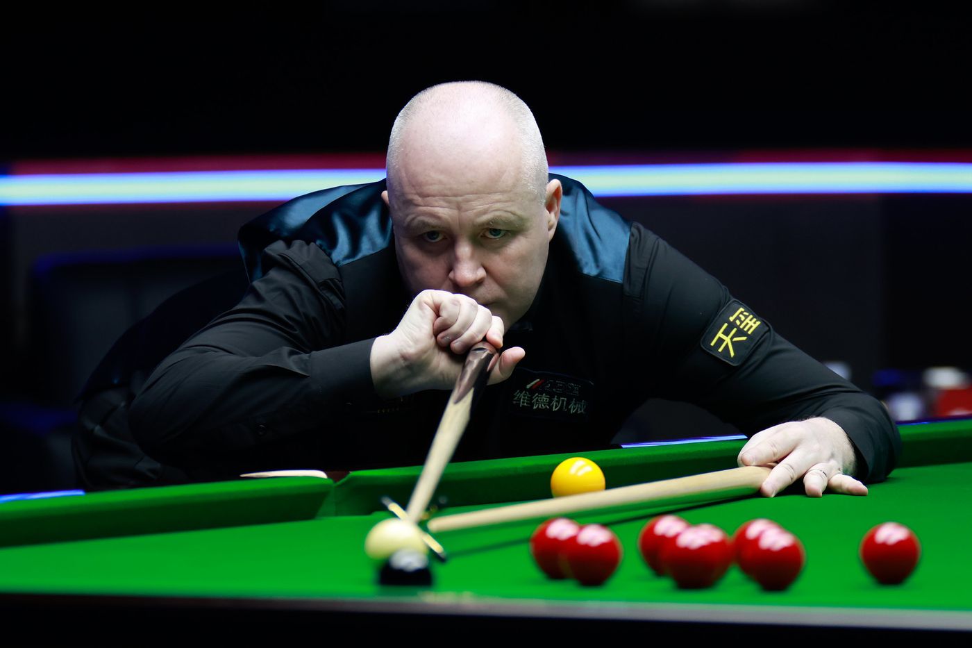 在一次兔子 在一次兔子