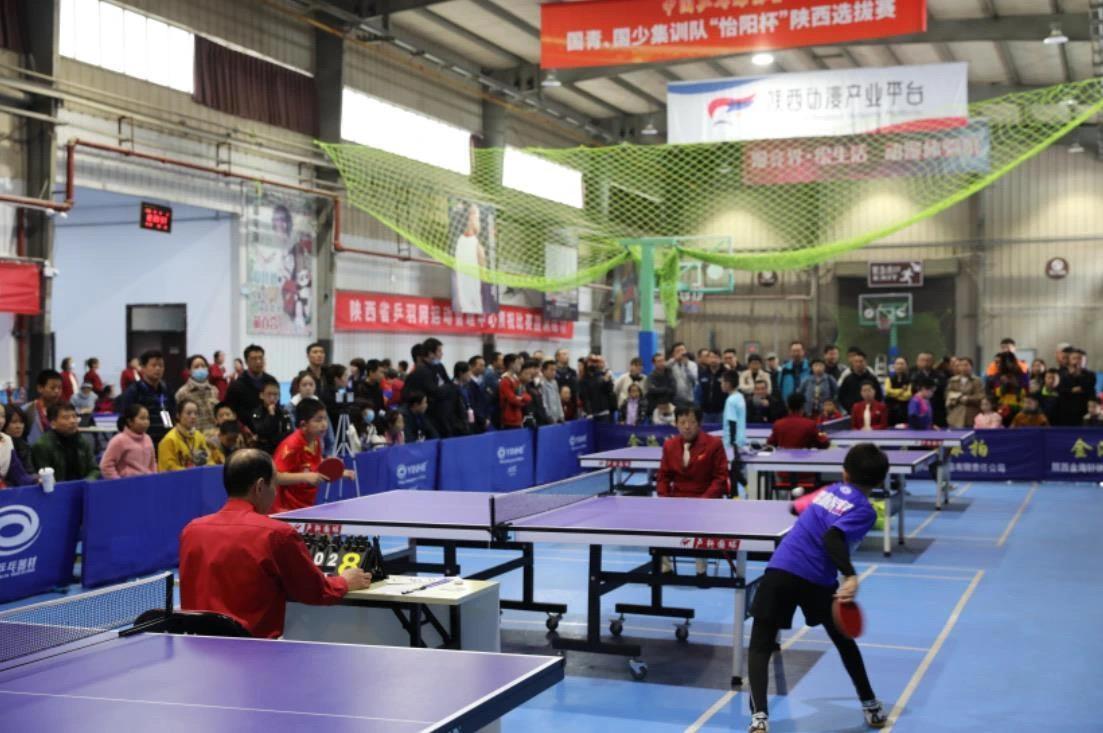 技术全面的 技术全面的